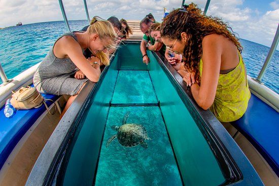 Glass Bottom Boat Tour