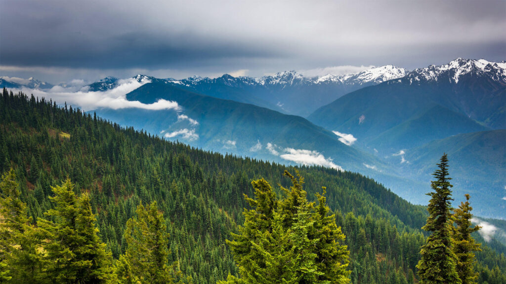 Olympic National Park